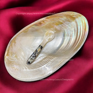 Mother of Pearl Seashell Dish Jewelry Tray for Candy Dish Home Décor, Collectible Dish Decorative Simple Giant Shell Dish Beautiful Dish