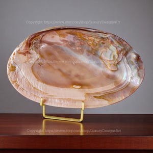 Mother of Pearl Seashell Dish Jewelry Tray for Candy Dish, Home Décor, Collectible Dish Decorative Giant Shell Dish Pink Shell Dish Beach