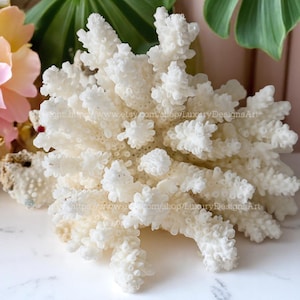 White Coral Real Coral Tree Decorative Natural Sea Coral for Home Decor Aquarium Coral Decorate Desk Natural Seashell Ocean Coral Cute Coral
