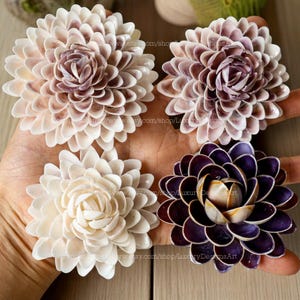 Chrysanthemum Seashell Flower Handmade Flowers from Seashell Natural Seashell Coastal Home Decor Purple White Seashell Flower Wedding Decor