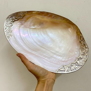 May include: A large, iridescent seashell serving dish with a silver-coloured metal rim and decorative floral corner accents. The shell's interior displays a pearlescent white and gold colour. The dish is held by a hand.