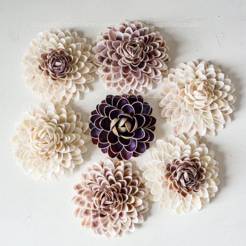 Flowe Shell Pattern Seashell Flower Handmade From Seashell Natural Seashell Flowers Coastal ...