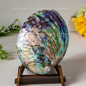 Aquamarine Blue Abalone Shells Crystal Displays Large Natural Abalone Shell Dish Home Décor, or Collectible Display Seashell Decor Ocean