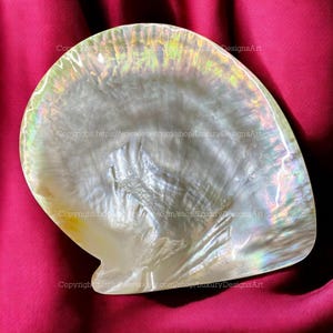 Mother of Pearl Plate Gold Lip Oyster Plate Versatile for Caviar, Soap, Candy, Home Décor, or Collectible Display Simple Round Plate