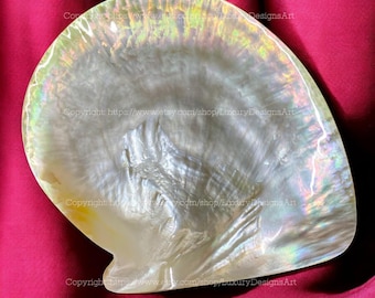 Perlmutt-Platte-Gold Lip Oyster Plate Vielseitig einsetzbar für Kaviar, Seife, Süßigkeiten, Wohnkultur oder Sammlerstück