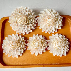 Seashell Chrysanthemum Flower Handmade Flowers From Seashell Natural ...