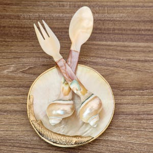 Puede incluir: Un juego de dos cucharas de nácar y un tenedor, con mangos de concha marrón y blanca, se muestran en un plato de concha blanca con un diseño de pez dorado. Las cucharas y el tenedor están hechos de conchas naturales.