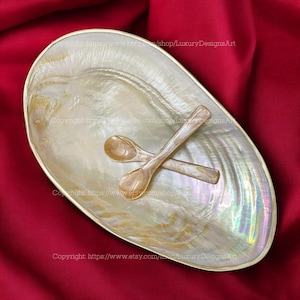 Mother-of-Pearl Simple Seashell Dish Silver Trim for Candy Dish Home Décor, Jewelry Tray Collectible Dish Decorative Simple Giant Shell Dish