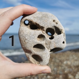 Natural Hag Stone 150-250g Choose Your Own - Sacred Rare Rock Pebble - Piddock Witch Odin Fairy Adder Holey Stone