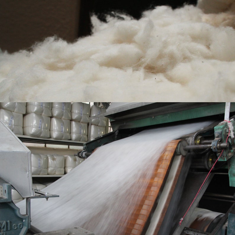 K&ouml;nnte beinhalten: Eine geteilte Ansicht, die im oberen Bereich einen Haufen roher, flauschiger wei&szlig;er Baumwollfasern zeigt und im unteren Bereich eine Industriemaschine, die eine durchgehende, d&uuml;nne wei&szlig;e Schicht Baumwollvlies durch Walzen verarbeitet.