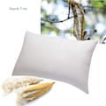 Natural Kapok Pillow, Organic Cotton Fabric