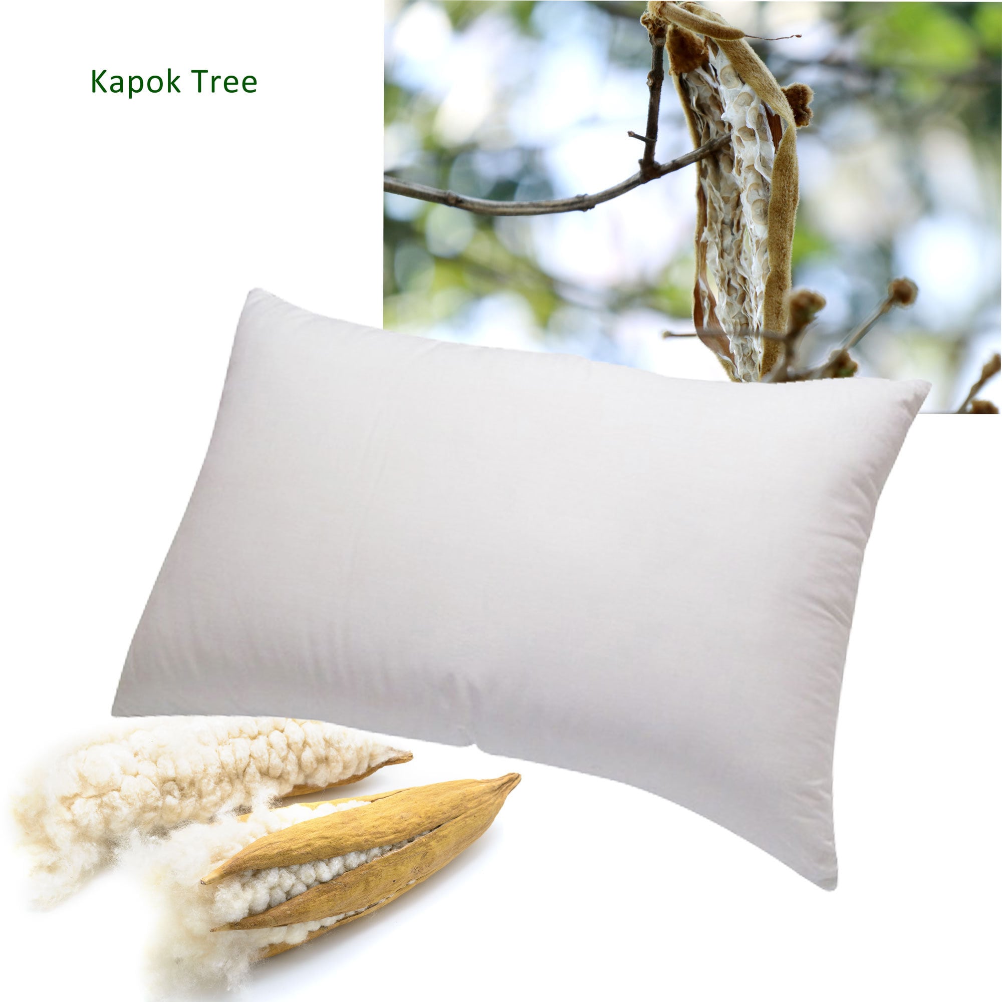 Throw Pillow Insert Organic Cotton and Kapok - Euro Sizes - Premium Pl –  Bean Products