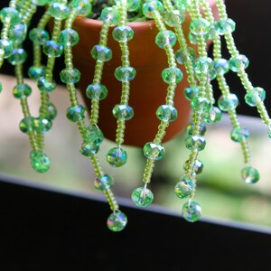 May include: A close-up of a hanging plant with strands of green, faceted beads cascading from a brown terracotta pot. The beads are strung on thin green cords, creating a delicate, decorative effect. The background is blurred.