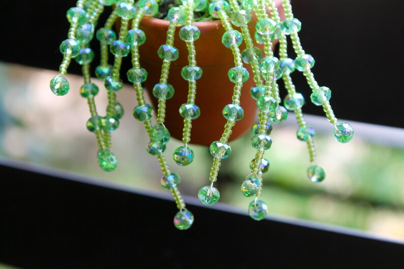 May include: A close-up of a hanging plant with strands of green, faceted beads cascading from a brown terracotta pot. The beads are strung on thin green cords, creating a delicate, decorative effect. The background is blurred.