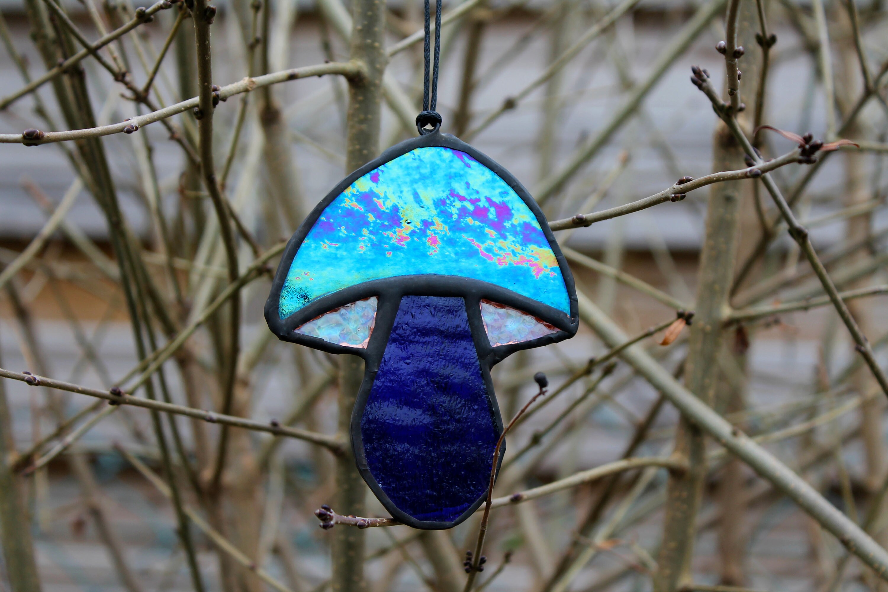 Vitrail Champifou, Champignon Psychédélique Irisé