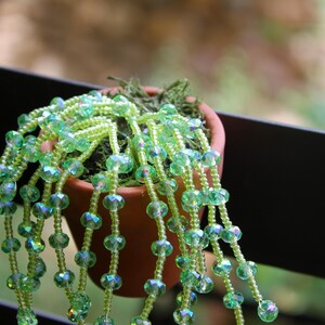 May include: A small terracotta pot filled with green moss and a cascading beaded plant. The plant features strands of iridescent green beads, creating a decorative, plant-like appearance. The pot is set against a blurred outdoor background.