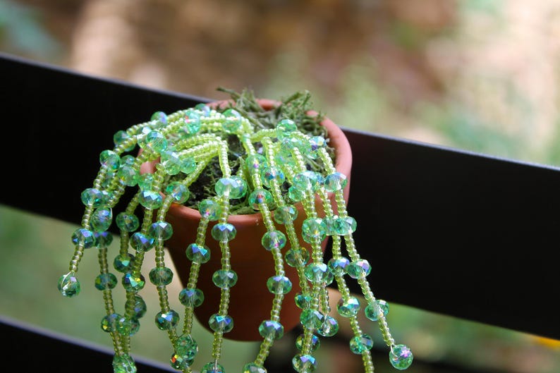 May include: A small terracotta pot filled with green moss and a cascading beaded plant. The plant features strands of iridescent green beads, creating a decorative, plant-like appearance. The pot is set against a blurred outdoor background.