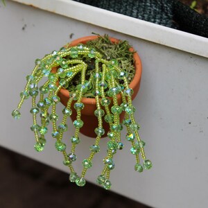 May include: A small terracotta pot filled with green moss and a beaded plant. The plant features strands of iridescent green beads, creating a cascading effect. The pot is set against a white surface.