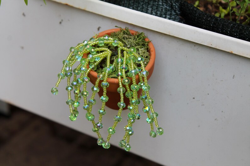 May include: A small terracotta pot filled with green moss and a beaded plant. The plant features strands of iridescent green beads, creating a cascading effect. The pot is set against a white surface.