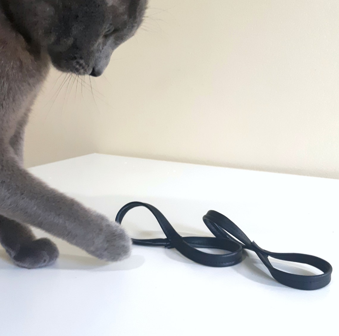 Crazy Eight Leather Cat Toy Etsy