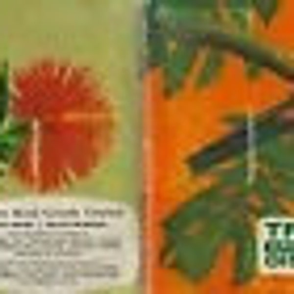 Tropical Birds -Album No.6 - by Brooke Bond Canada Limited in 1964 - 48 cards in set - Very good condition - text in both English and French