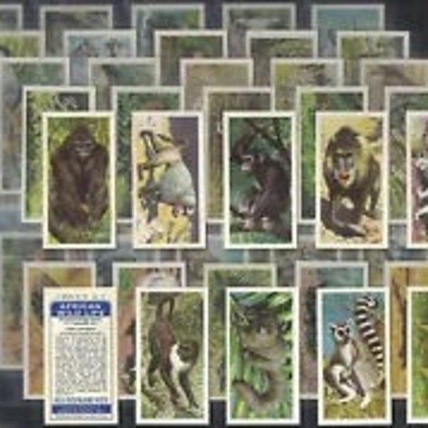 African Wild Life - Brooke Bond Cards - 50 in set - Produced 1962