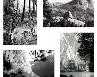 Ansichten von Yosemite 4er-Set - Downloaden & Ausdrucken