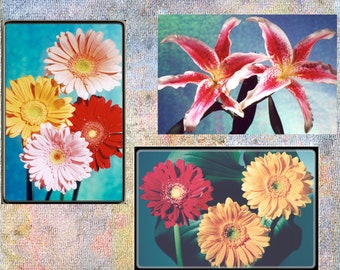 3 Blumen Karten - Download
