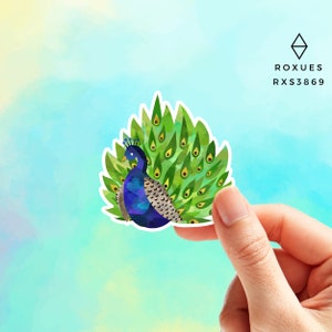 Peacock feather sticker | Bird Sticker | Animal Decal | Laptop Sticker | Hydroflask Sticker | Water Bottle Decal | Peacock Sticker