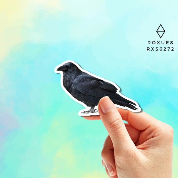 Crow Sticker | Birdies stickers | Bird Sticker | Animal Decal | Laptop Sticker | Hydroflask Sticker | Water Bottle Decal | Bird Decor