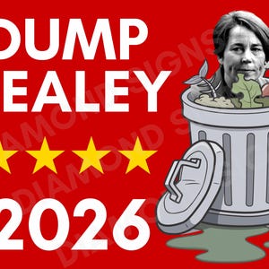 May include: Red political sign with the words "DUMP HEALEY 2026" in white. The image includes a cartoon of a person in a trash can, four gold stars, and a trash can graphic.
