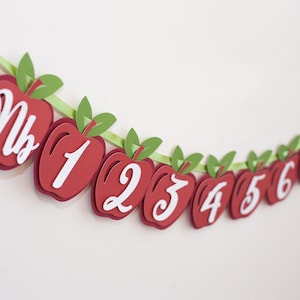 APPLE Photo Banner for 1st Birthday - Milestone Garland - Apple of My Eye