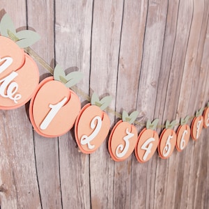 PEACH Birthday decor - Sweet as a Peach  | Photo Banner | 1st Birthday Milestone Garland |