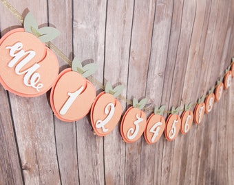 Décor d'anniversaire PEACH - Doux comme une pêche | Bannière photo | Guirlande jalon 1er anniversaire |