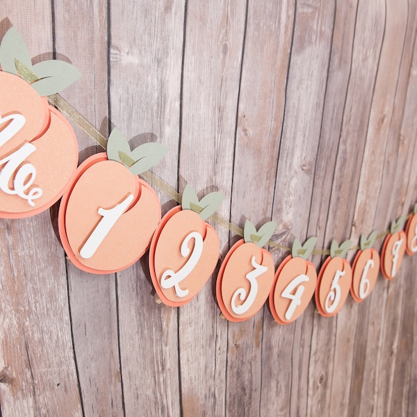 Peach Photo Garland, Peach Highchair Banner, Peach First Birthday, peach Cake topper