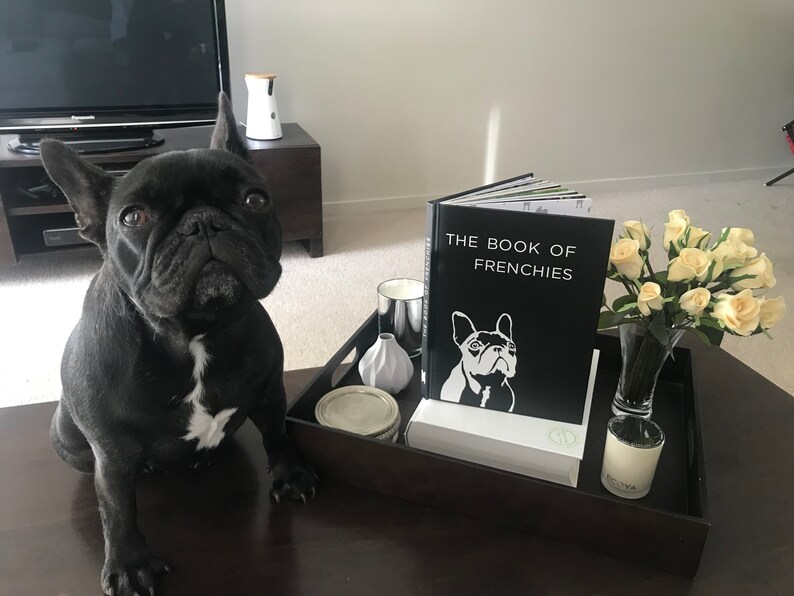 Hardcover Coffee Table Book For Dog Lovers The Book of Etsy