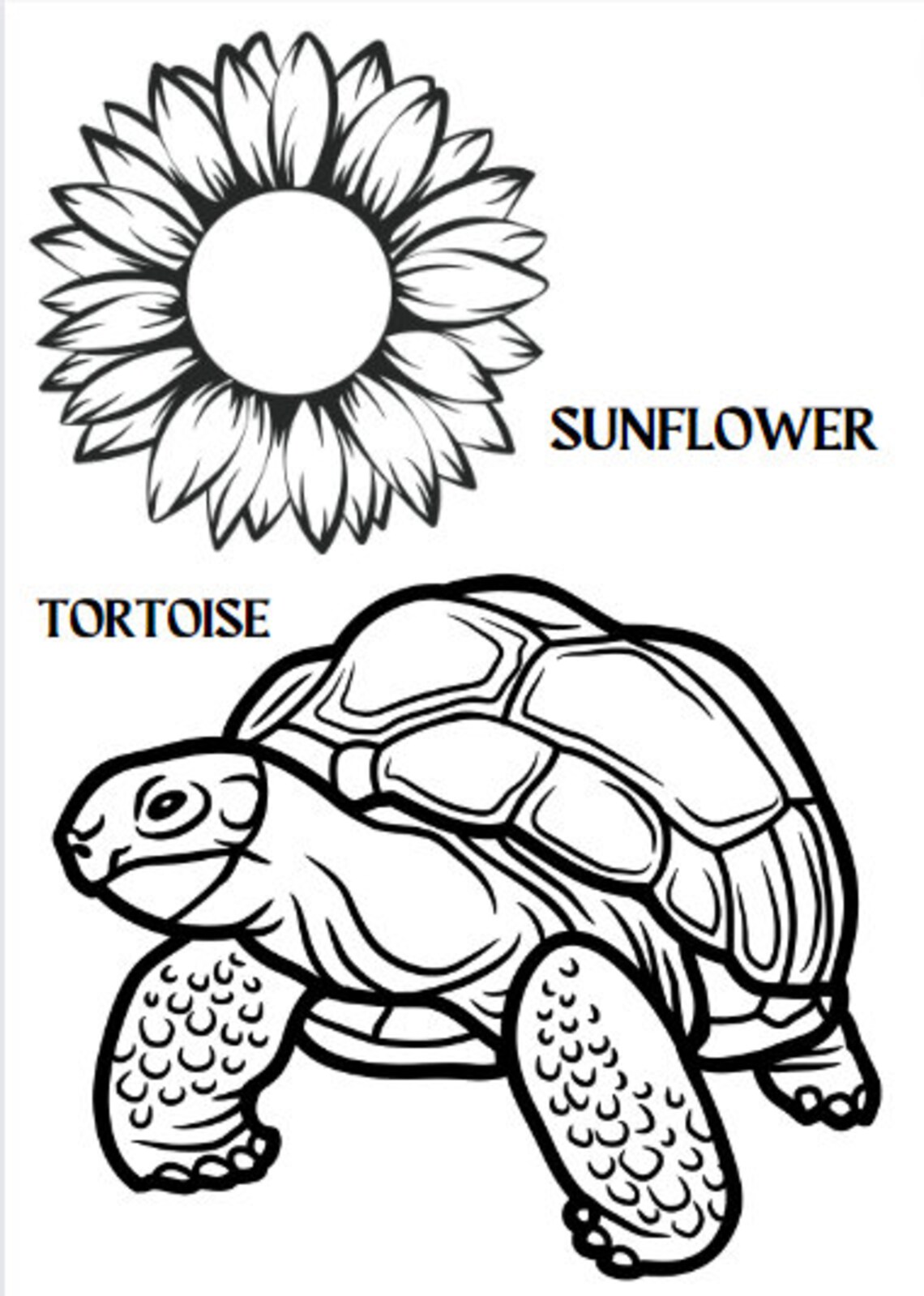 Coloring Page Printable Coloring for Kids Gardening Garden Etsy Canada