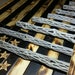 CUSTOM CUT Cholla Wood | Pick Your Size | Organic Untreated Cactus Logs | Arts & Crafts | Fish Shrimp Chinchilla Aquarium | Nice Pieces! 
