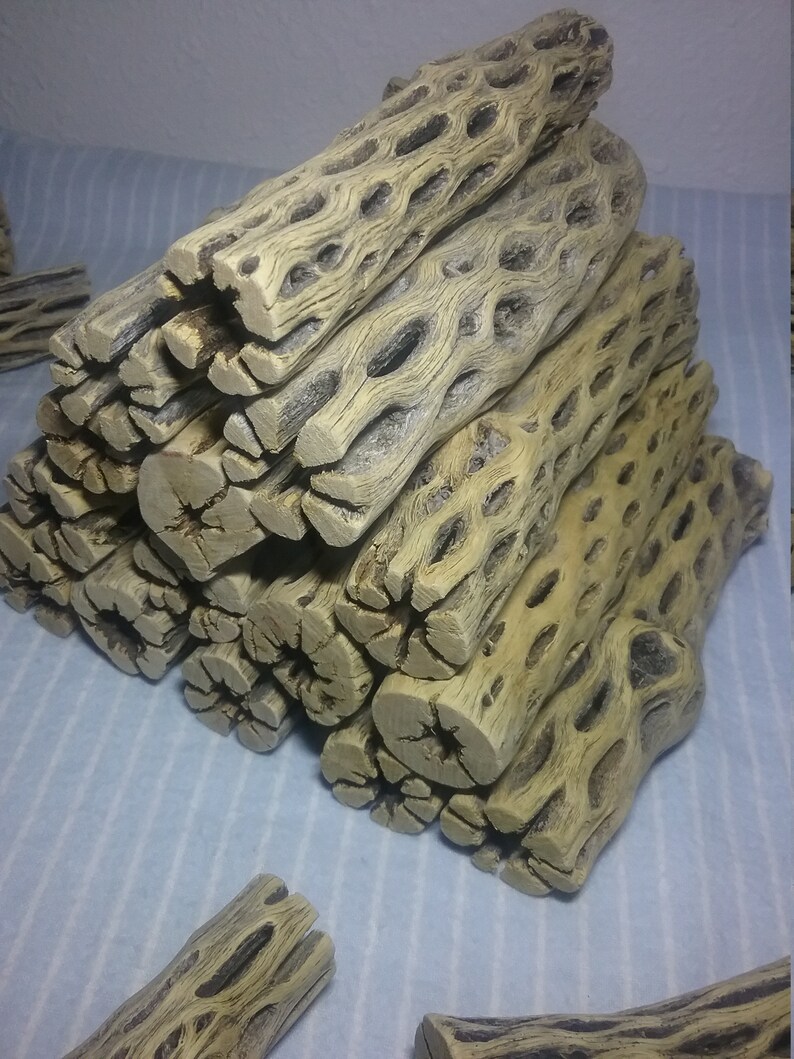 NEW LARGE 6 inch CHOLLA Logs Cactus Wood Crafts Fish | Etsy