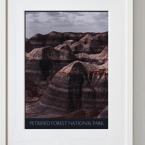 Petrified Forest National Park Travel Print - Arizona Travel Poster - Nature Poster - Travel Poster - Framed Travel Print