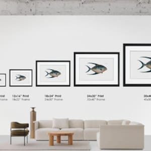 Fish Wall Art 1. Salmo Saurus 2. Salmo Foetens Fish Artwork image 9