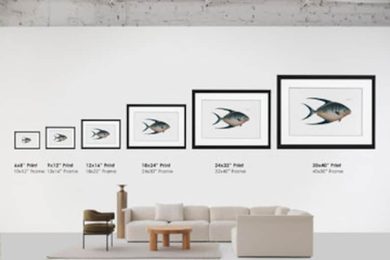 Fish Wall Art Labrus Melapterus The BlackFin Framed Etsy