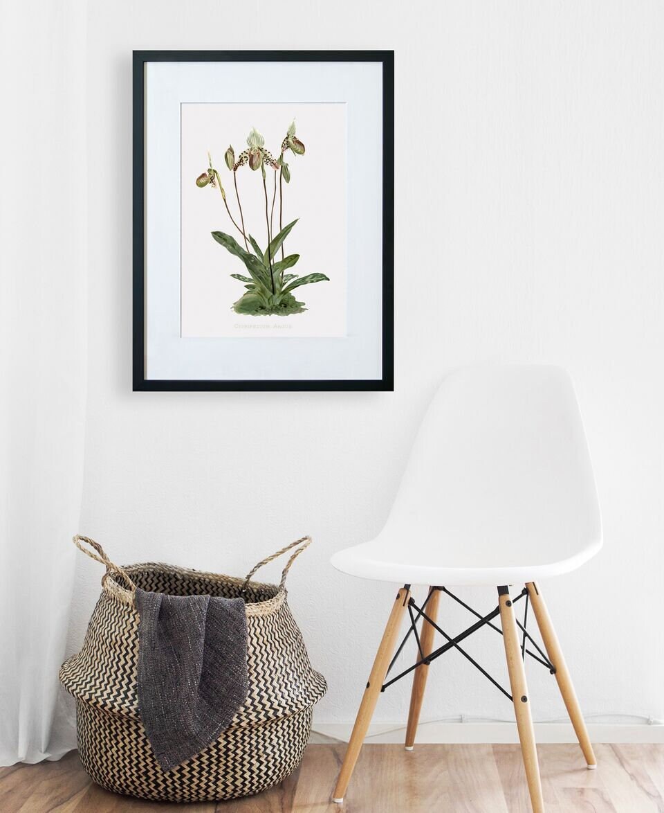 Orchid Wall Art Orchid Art Orchid Canvas Wall Art Etsy