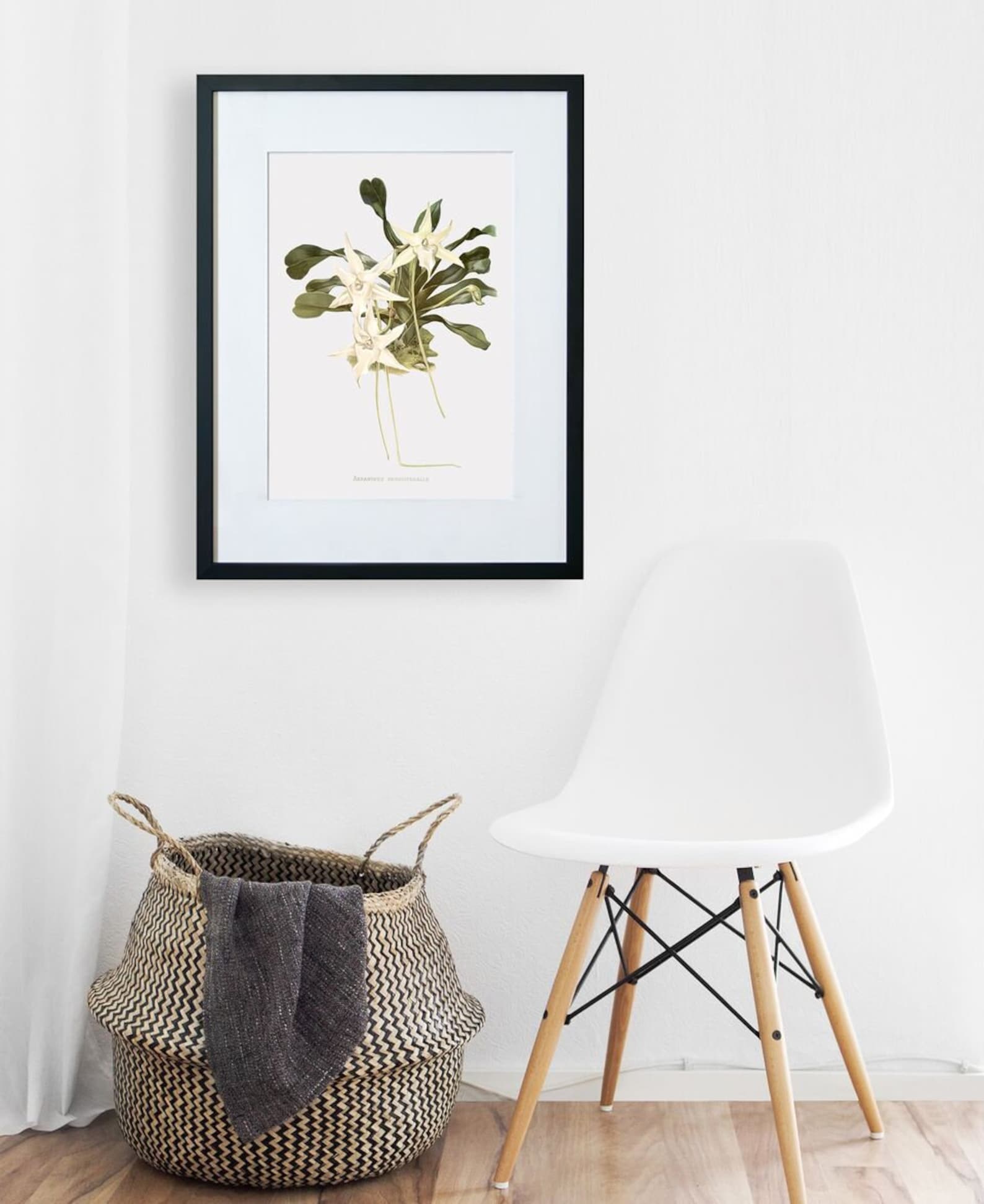 Floral Wall Art & Decor Darwin's Orchid Orchid Art Etsy