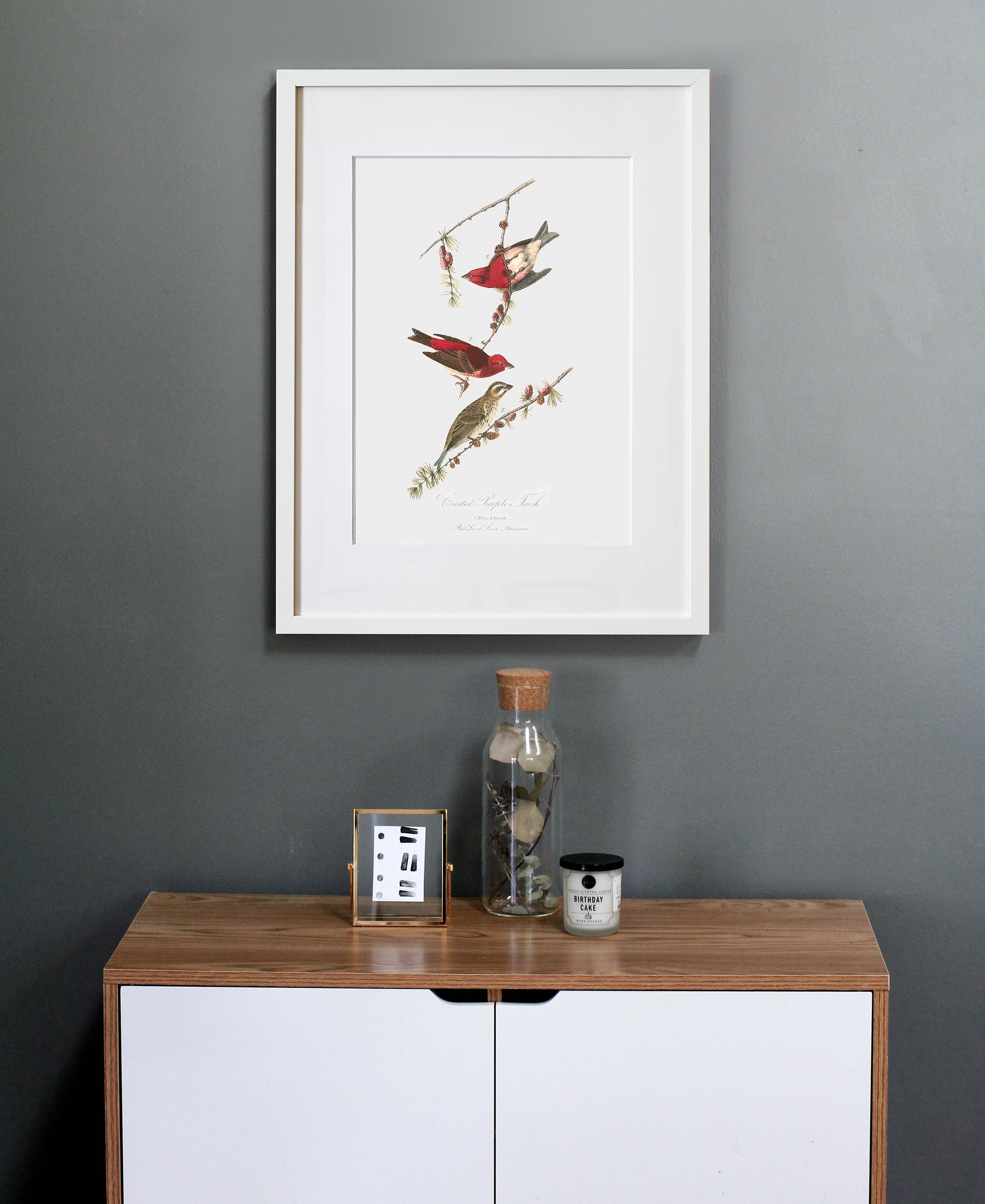 Bird Wall Art Framed Bird Wall Art Birds Wall Decor Crested Etsy