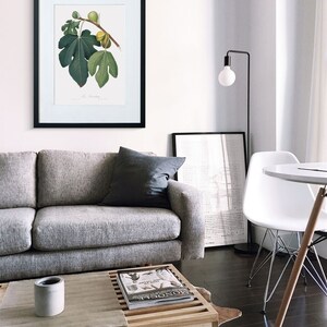 Fruit Wall Art, Fruit Decor For Kitchen, Fig Tree Art, Fig Artwork