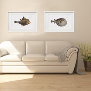 Fish Wall Art 1. Salmo Saurus 2. Salmo Foetens Fish Artwork image 8