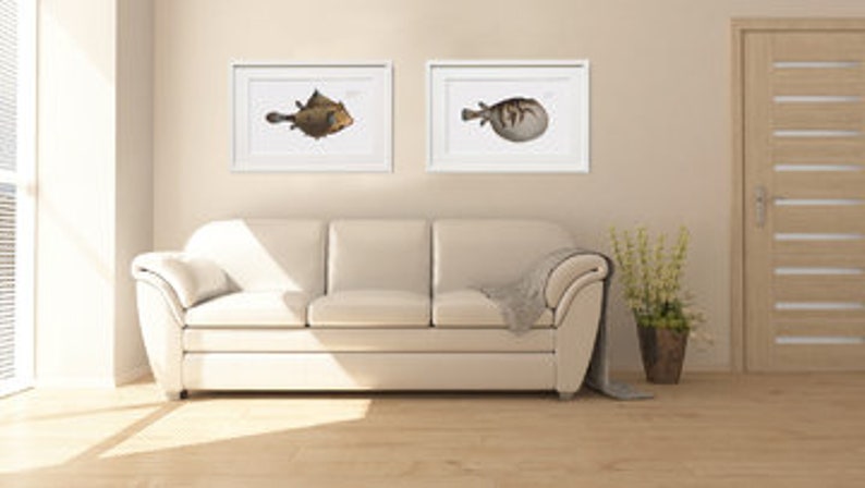 Fish Wall Art 1. Salmo Saurus 2. Salmo Foetens Fish Artwork image 8