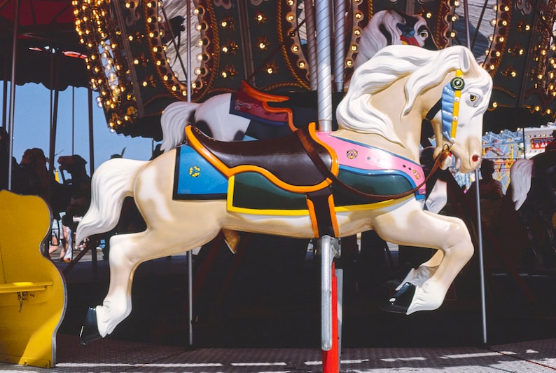 May include: A white carousel horse with a brown saddle and colorful trim. The horse is on a carousel with a red canopy and lights.