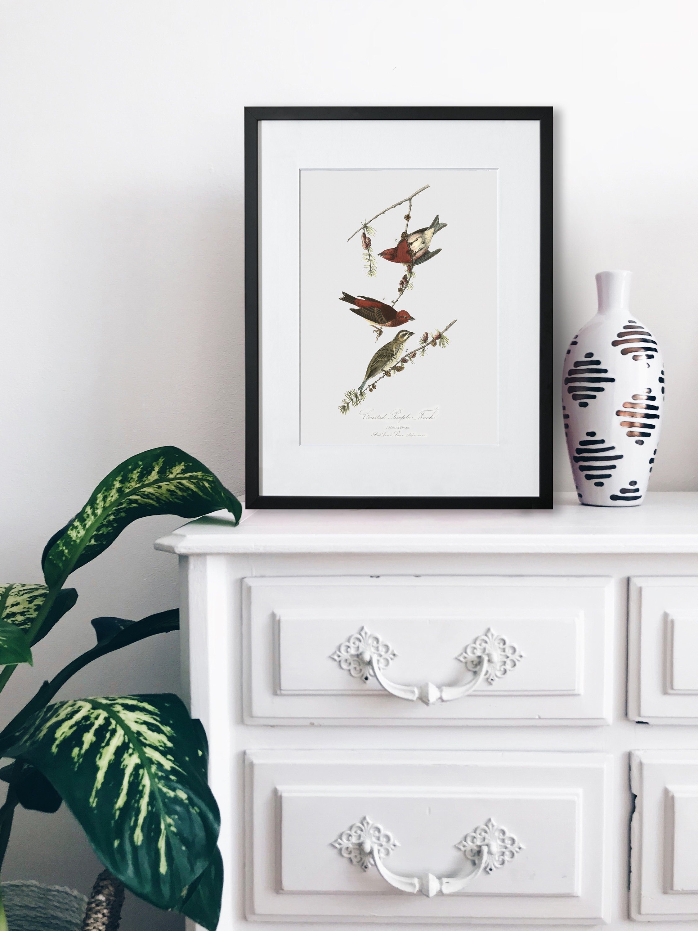 Bird Wall Art Framed Bird Wall Art Birds Wall Decor Crested Etsy